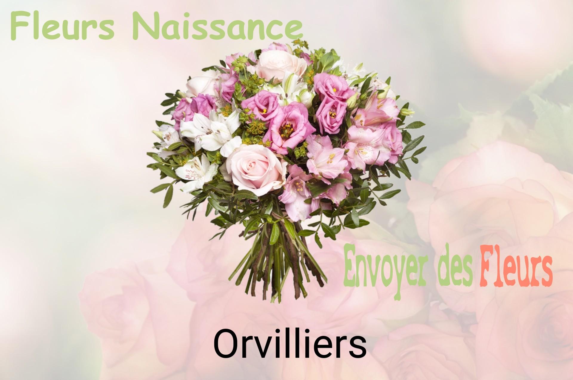 Bouquet de fleurs de naissance livré à Orvilliers